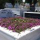 Çıplak Ailesi – Gülbahçe Mezarlığı
